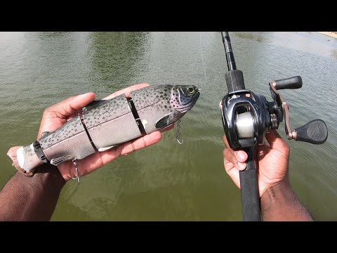 Catching BIG Fish With This GIANT Lure Was Too Easy!