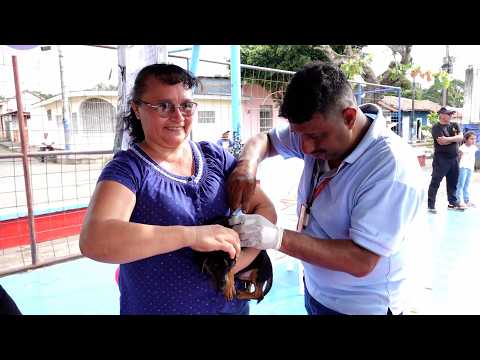 Masatepe impulsa campaña de vacunación antirrábica canina para proteger a las familias