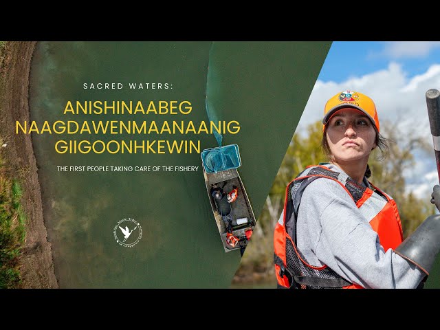 Sacred Waters: The First People Taking Care of the Fishery