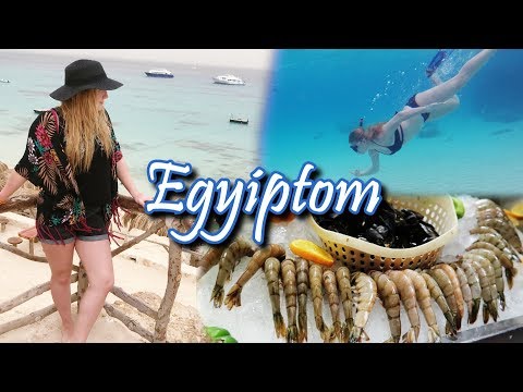 RENGETEG HERKENTYŰ! | Egyiptom | Mit ettem ma? #4