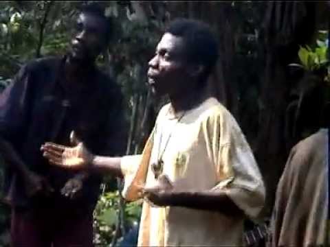 Jamming with the Baka in the Rainforest