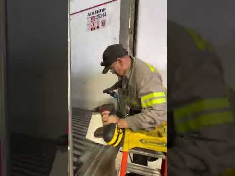 Picovideo video/presentation/materials