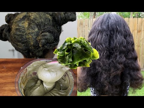 Sea Kelp for Long Thick Hair | Crazy Hair Growth