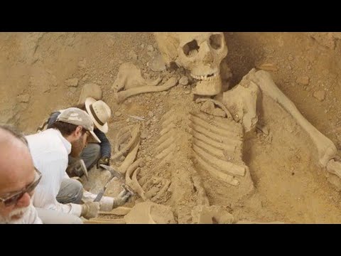 Le 12 scoperte più sorprendenti e incredibili nella foresta