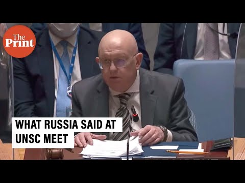 'Operation declared to protect people of Ukraine', says Russia's UN Ambassador