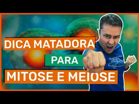 Dica MATADORA para MITOSE e MEIOSE