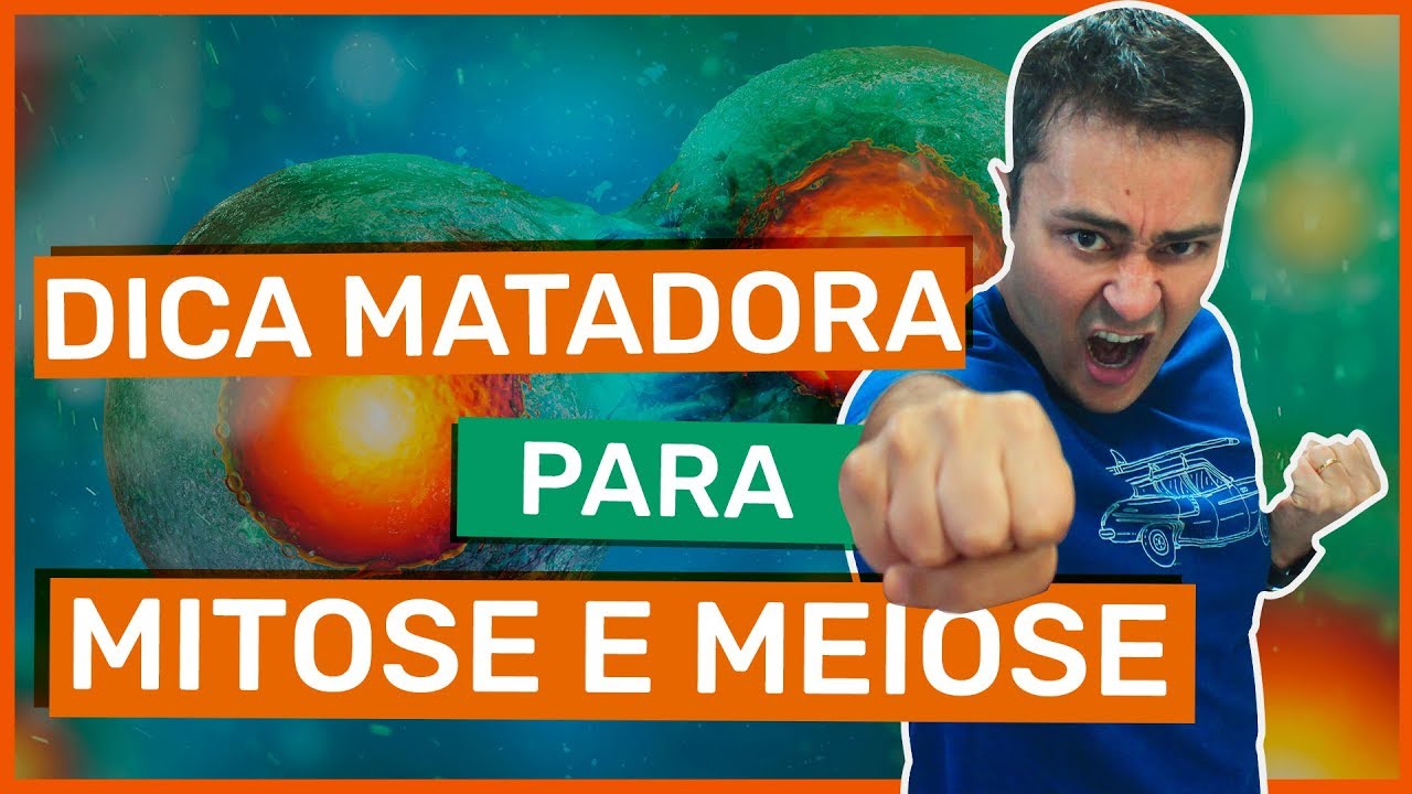 Dica MATADORA para MITOSE e MEIOSE