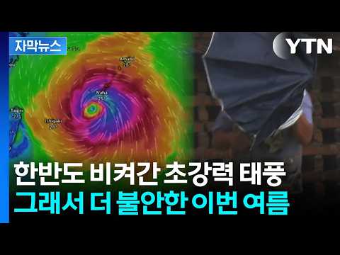 [자막뉴스] 500mm 폭우 쏟아진 일본…올여름 한반도 예고편? / YTN
