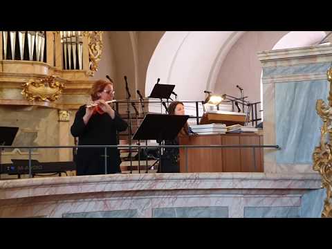 Orgelherbst, Stadtpfarrkirche, Bruck/Leitha, 22.09.2019