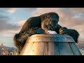 Kongs Tod King Kong German Deutsch Clip