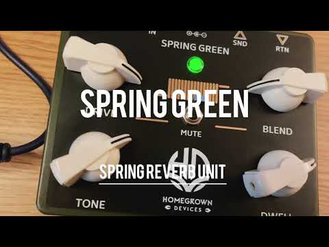 Homegrown Devices Spring Green Spring Reverb Unit image 5