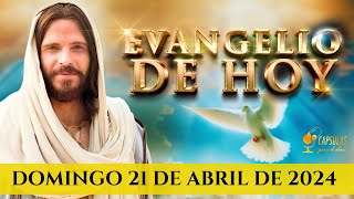 Evangelio de JESÚS Domingo 21 de Abril 2024 ✝️ Juan 10,7-13 Jesús, el buen pastor