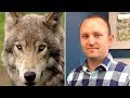Man Saves Campers From Wolf Attack In Banff