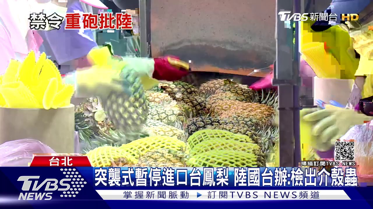 突襲式暫停進口台鳳梨 陸國台辦:檢出介殼蟲