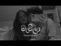 මැවිලා Mawila Slowed Reverb DILU Beats