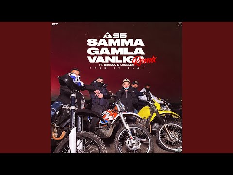 Samma gamla vanliga (feat. Branco & Kamelen) (Remix)