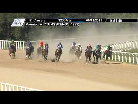 CARRERAS SINT PAYSANDU-211209 c05- 1° HAIRSPRAY (BRZ)