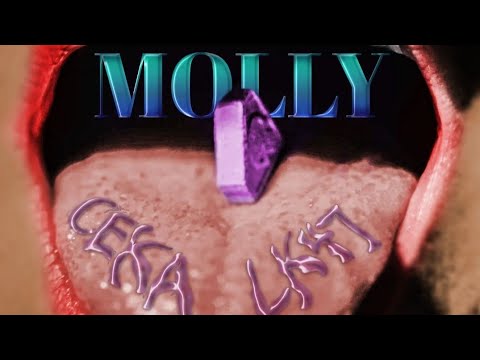 LK x CEKA - Molly (prod. by $ABZ)