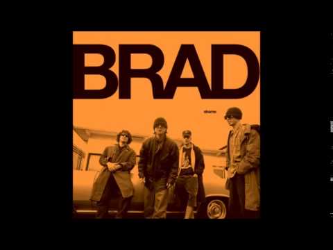 Brad - Shame