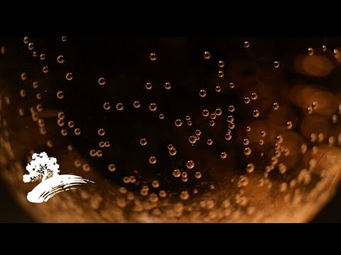 Green Hill All-Stars - Cocktail Lounge: Easy Jazz 70s [Full Album Visualizer]