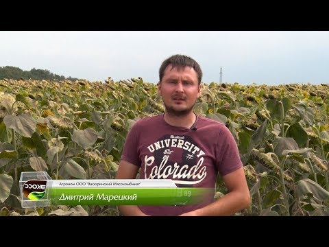 Отзыв о продукции ЭКОСС от агронома ООО "Васюринский Мясокомбинат"