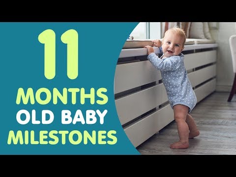 11 Months Old Baby Milestones