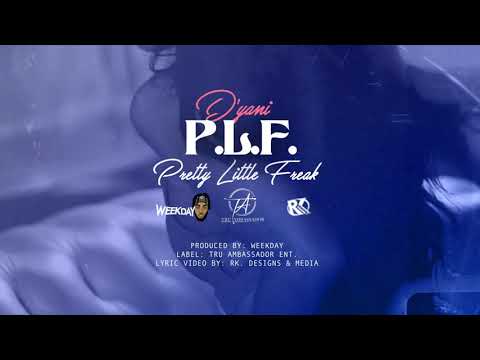 D'yani- P.L.F Lyric Video