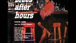 Elmore James & The Broom Dusters - Long Tall Woman