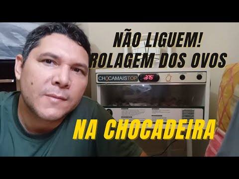 Não ligue a rolagem dos ovos na chocadeira. (PROBLEMA CERTO!)