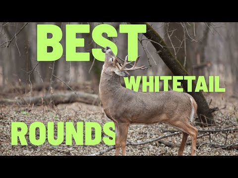 Is 6.5 Creedmoor the best Whitetail Round?