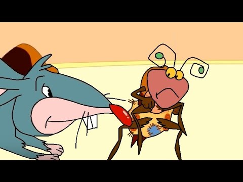 LA SEÑORA CUCARACHA - Canciones infantiles del DVD: Cantando en Amapola