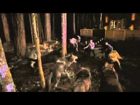 Saga Zmierzch Przed Świtem cz.1 Spot 7