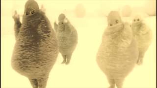 Laying Down Rock - Drinks [Fan Video]