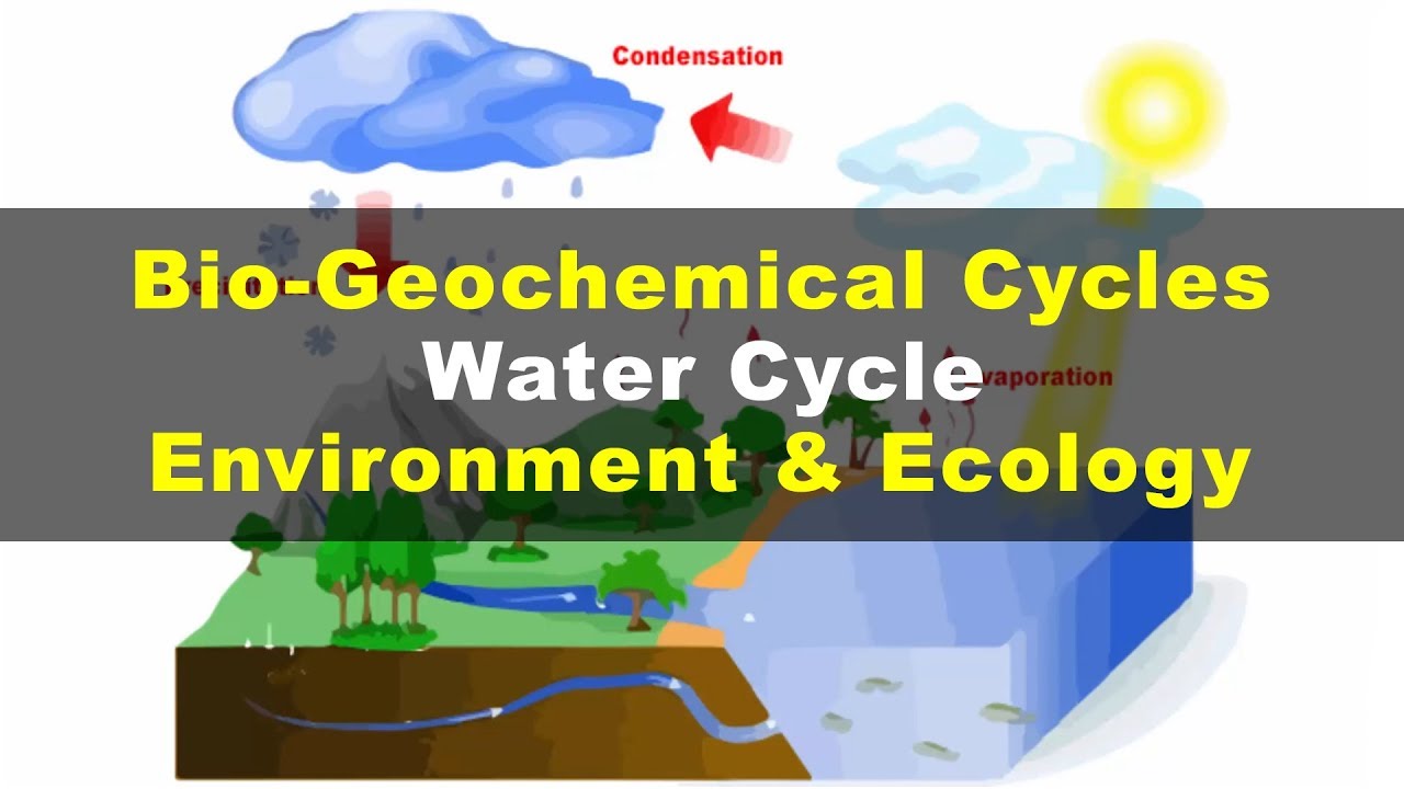 Climate Classification and the Hydrological Cycle Video
