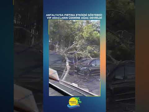 Antalya’da fırtına etkisini gösterdi! VIP araçların üzerine ağaç devrildi