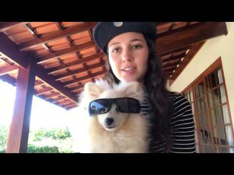 Vulgo - Bug's Life (Music Video) Fan Appreciation