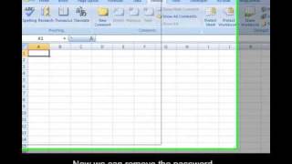 How to remove a password protected and shared excel file in Excel 2007