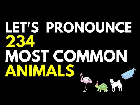 Pronounce 234 Most Common Animal English Words in 10 Minutes - Pronunciation Training