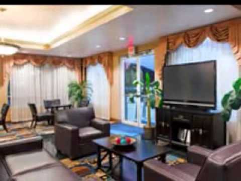 Holiday Inn Wesley Chapel