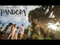 Pandora - The World of Avatar | Walt Disney World Resort in Florida