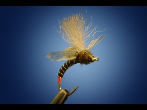 Fripple 2.0 Baetis Mayfly Cripple by Curtis Fry
