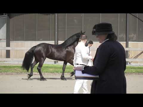 Locatiekeuring Stal de Mersken 19-6-2020