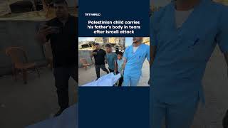 Israeli strikes kill 981 in Gaza amid what TRT World calls ceasefire violations; video shows child carrying father's body