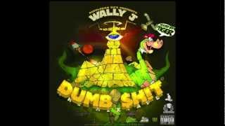 1  Wally J   INTRO : HELICOPTER HIGH  DUMB SHIT : DUBSTEP RAP DUBRAP RAVE RAP