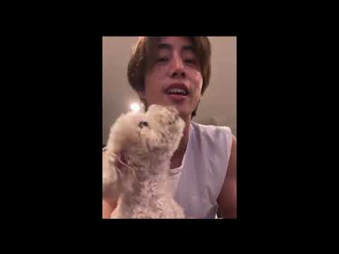 GOT7 MARK TUAN - Lucky Milo 😂 #ahgase #Got7Forever #Shorts #MarkTuan