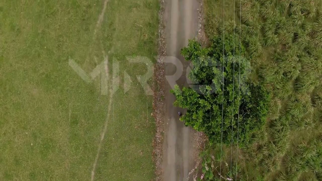 Mujer practicando atletismo