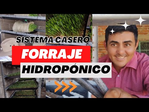 , title : '(Paso a Paso) Como Construir Tu Propio Sistema Casero| Forraje Verde Hidropónico FVH'