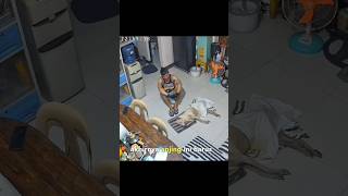 Download lagu So sad #shorts #shortviral #shortvideo mp3 Download lagu So sad #shorts #shortviral #shortvideo mp3