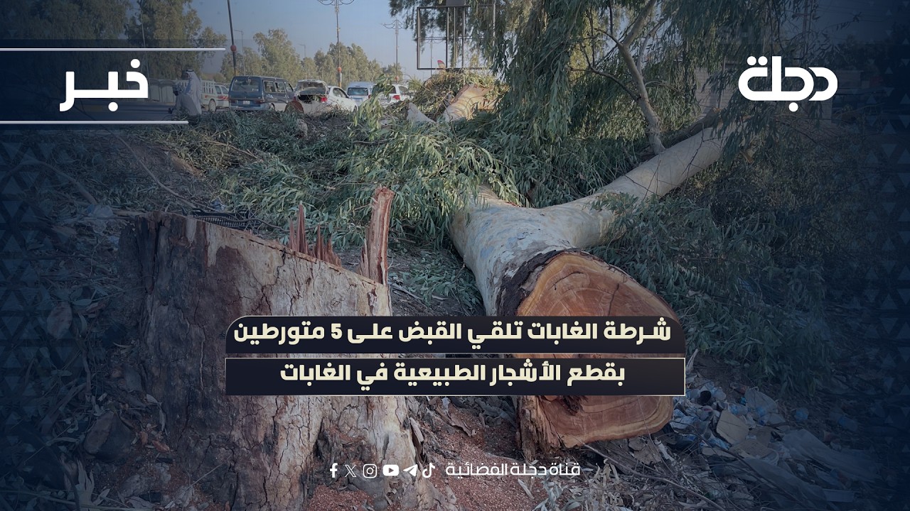فيديو | شرطة الغابات في السليمانية تلقي القبض على 5 متورطين بقطع الأشجار الطبيعية في الغابات
