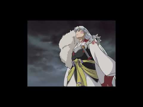 Everytime Sesshomaru has punched Inuyasha